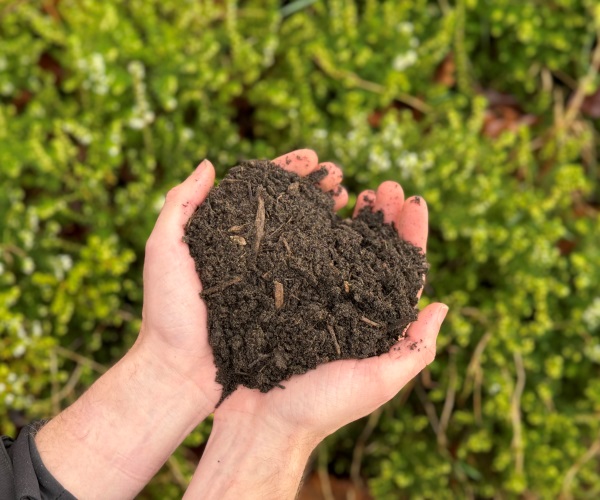 Natuurcompost