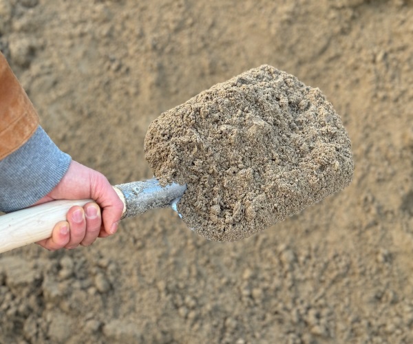 Zand